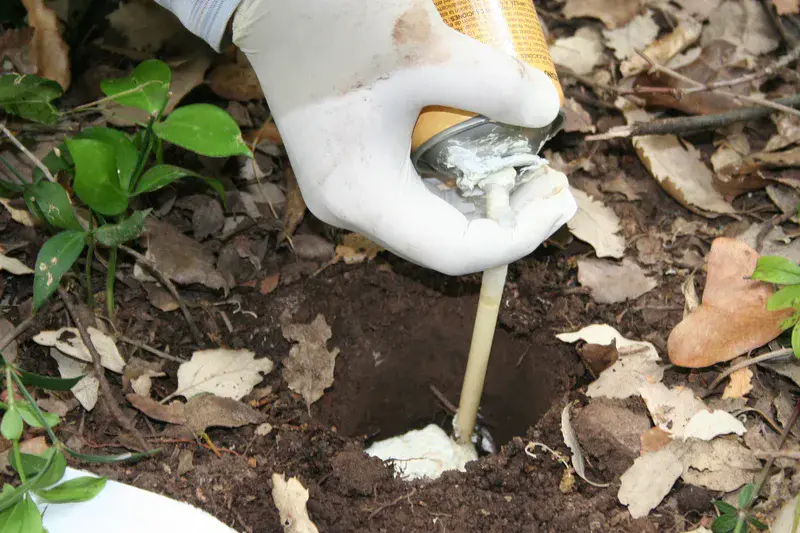 Foaming soil