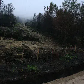 Silt fences for erosion control after a wildfire