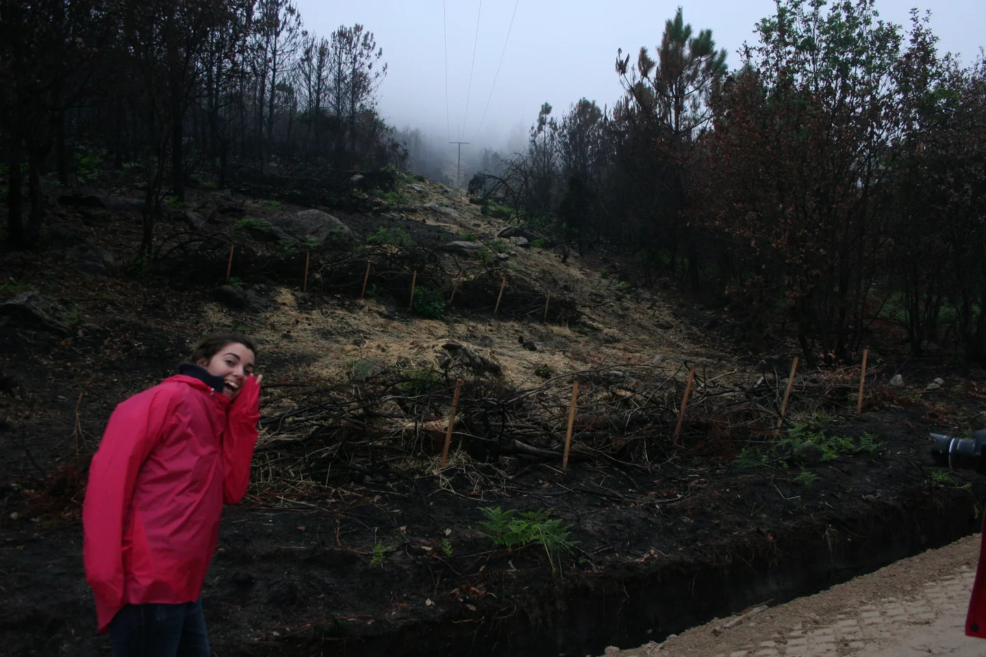 Silt fences for erosion control after a wildfire