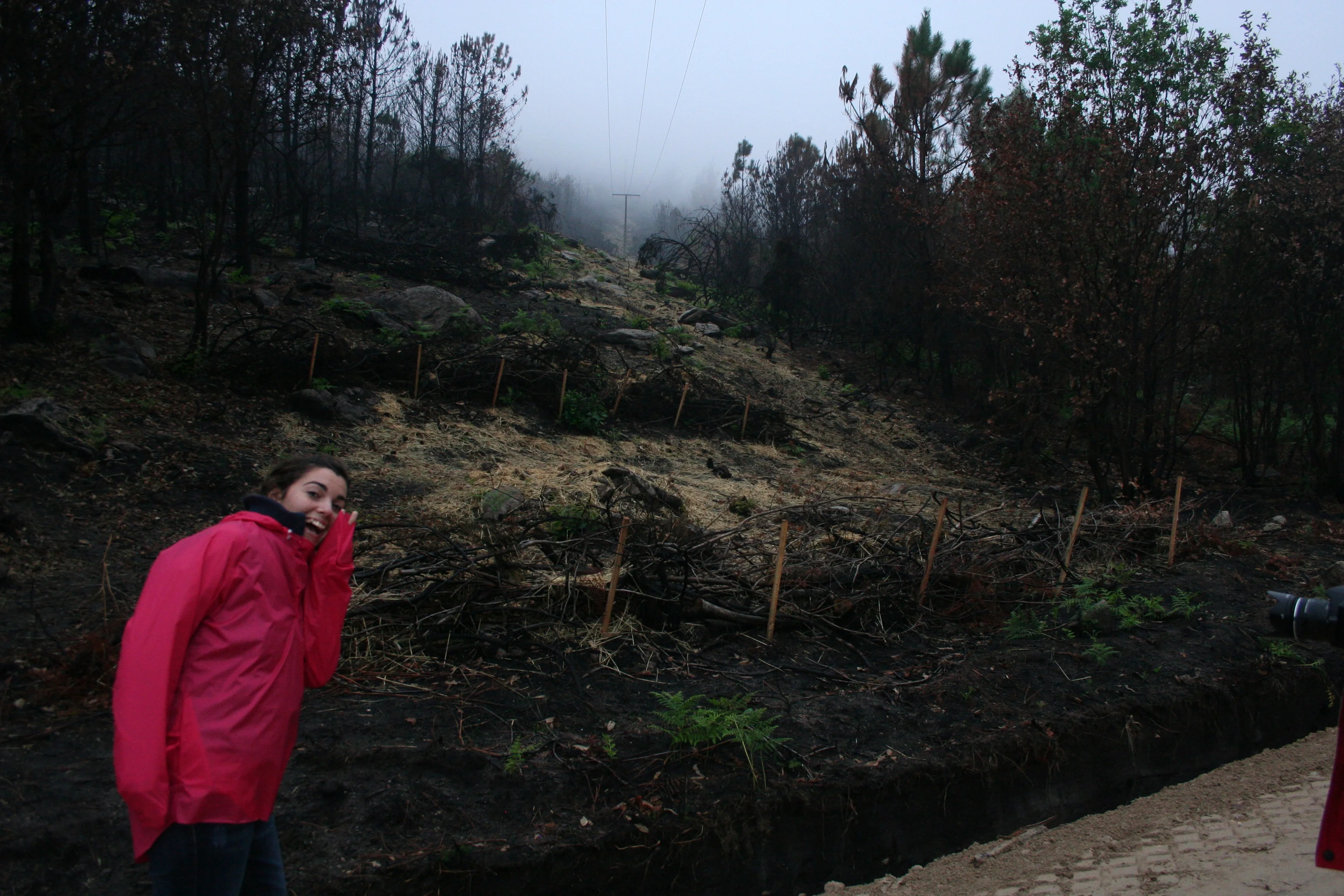 Silt fences for erosion control after a wildfire