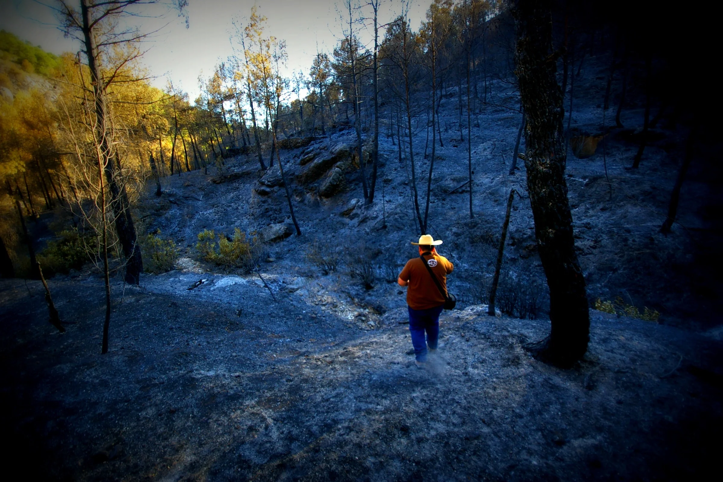 Walking on ash