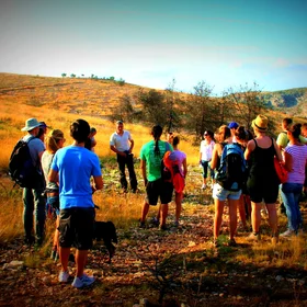 Senda del barranc dels Tarongers