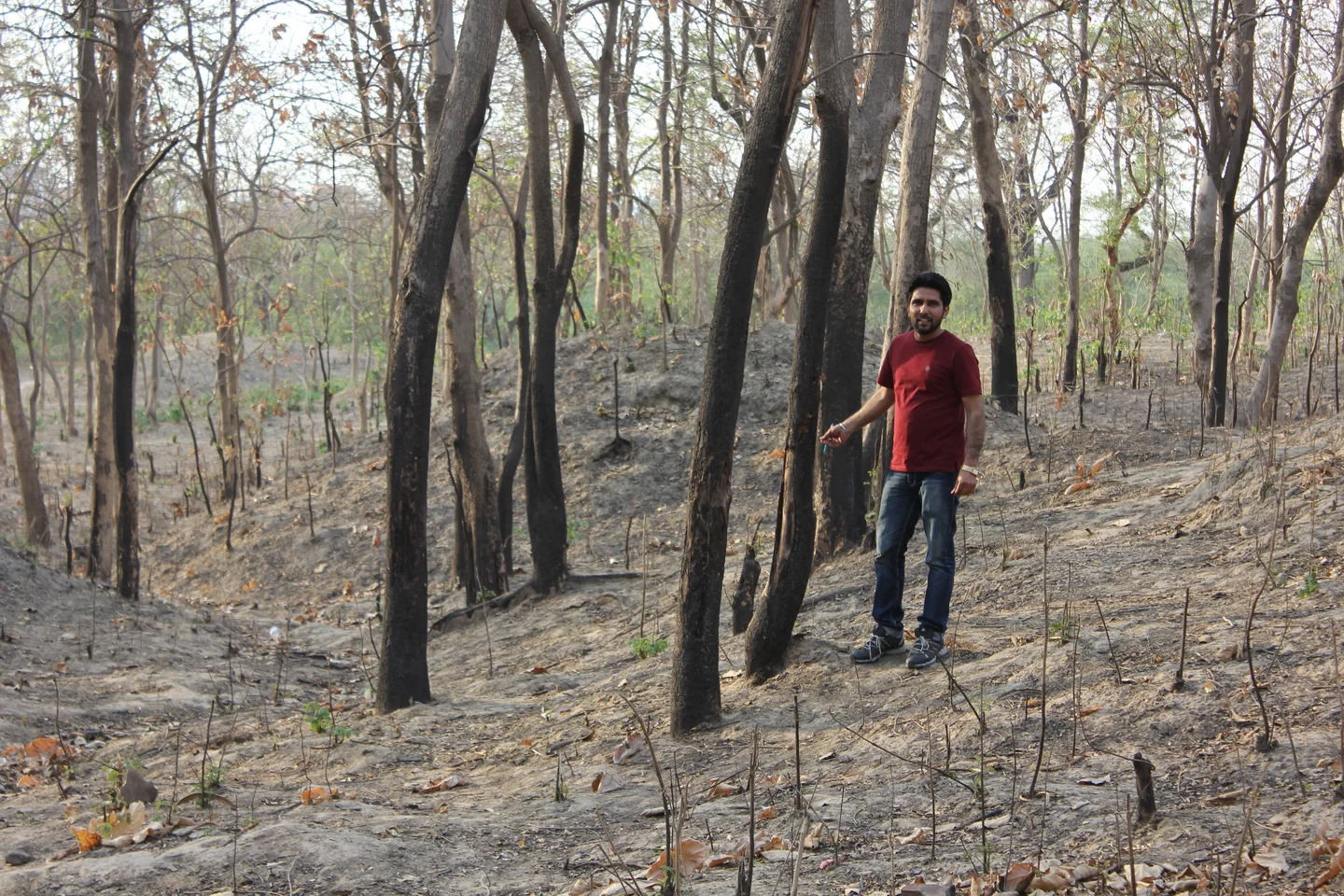 Kukrail Degraded forest