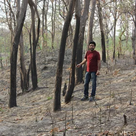 Kukrail Degraded forest