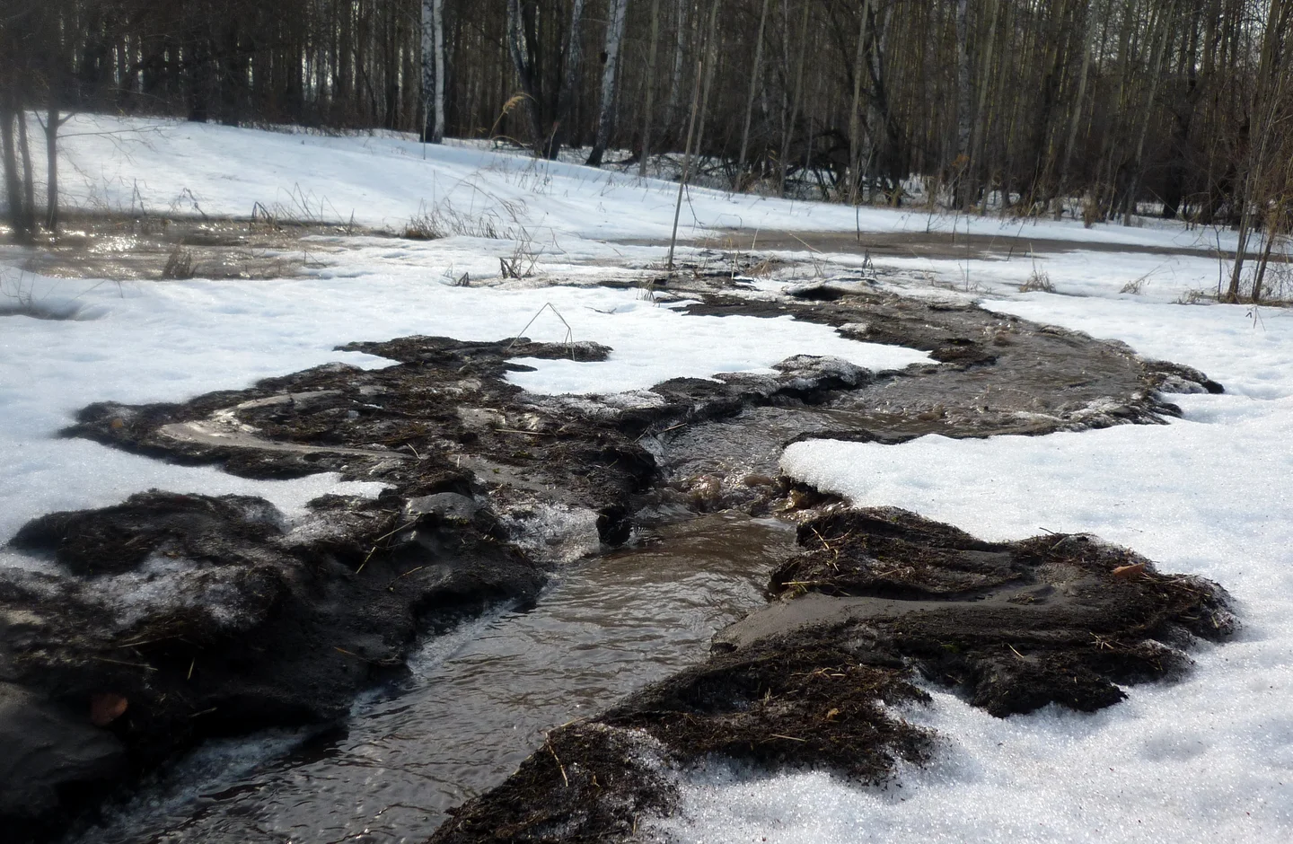 Snowmelt in West Siberia, Russia