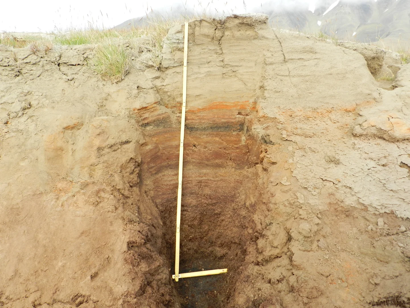 Peat-loess sequence, Svalbard