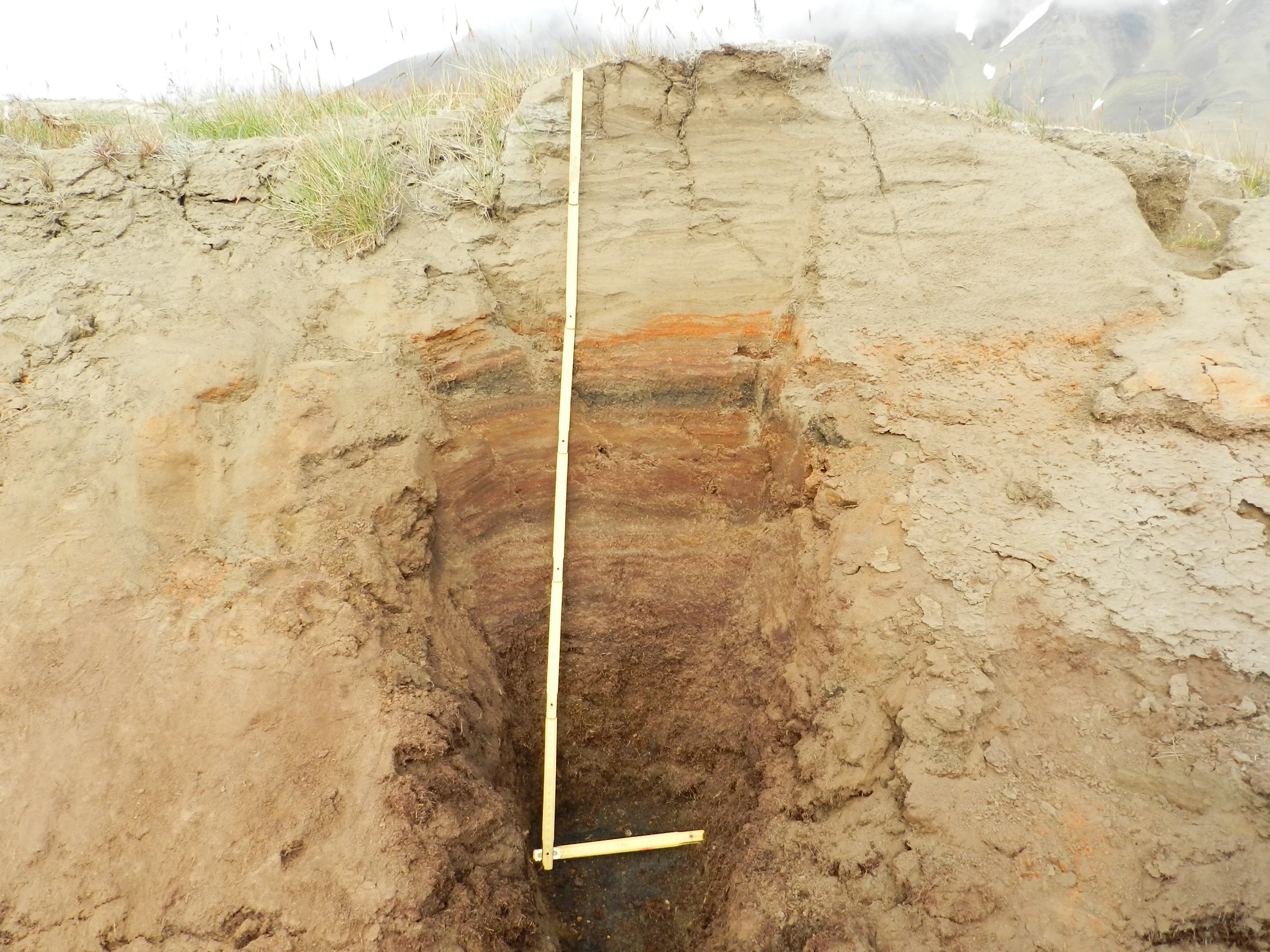 Peat-loess sequence, Svalbard