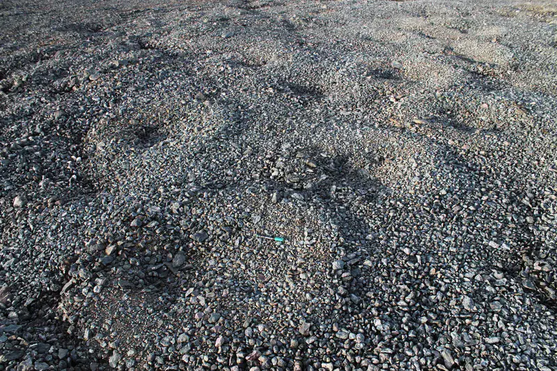 Stone circles, Byers Peninsula, Antarctica