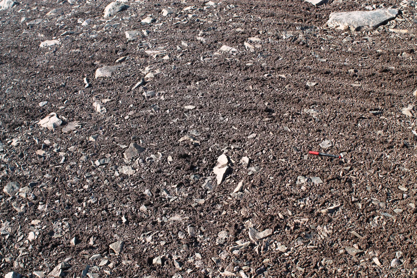 Soil stripes, Byers Peninsula, Antarctica