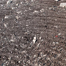 Soil stripes, Byers Peninsula, Antarctica