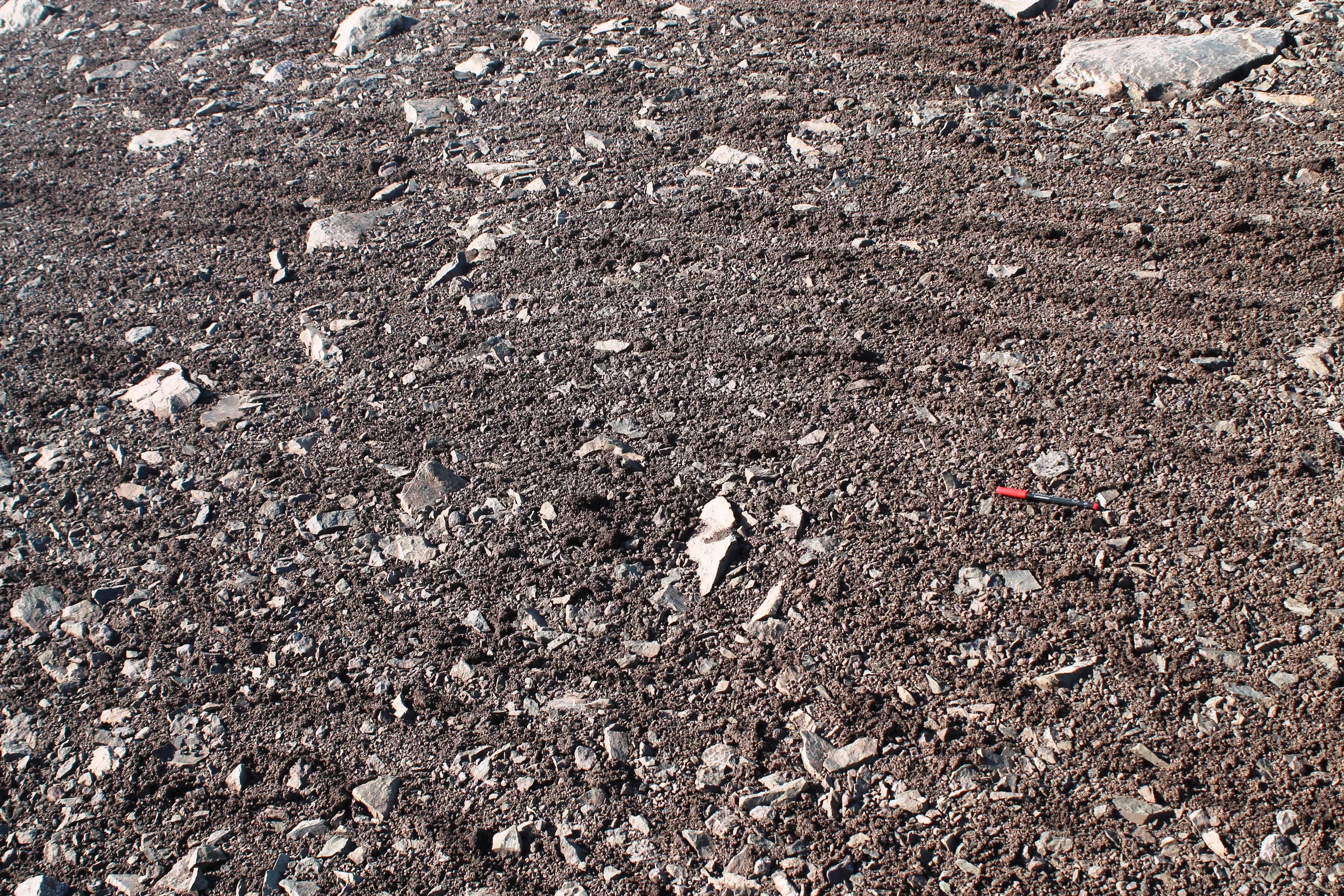 Soil stripes, Byers Peninsula, Antarctica