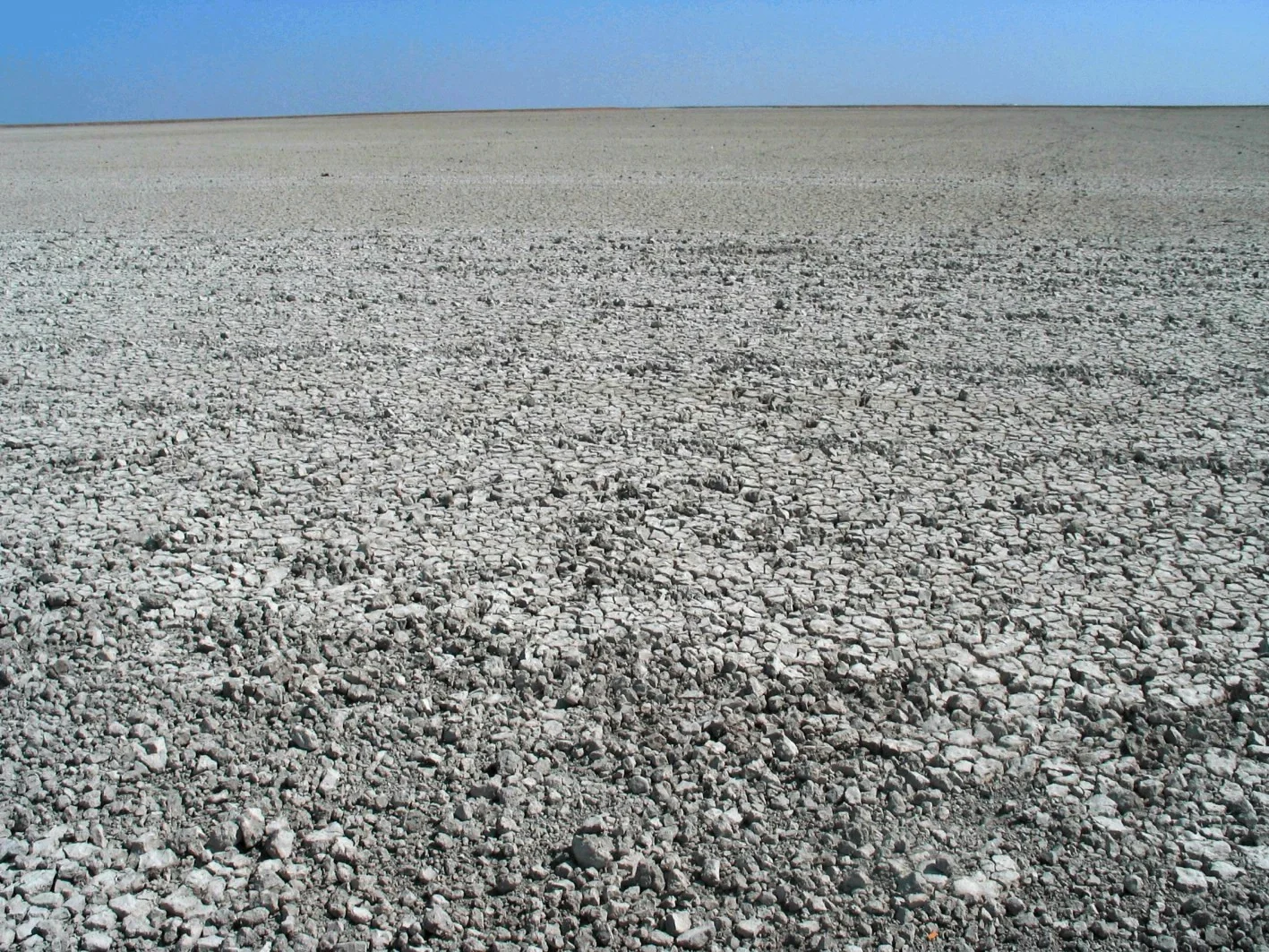 Endosodic Solonchack (Doñana National Park, SW Spain)