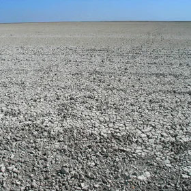 Endosodic Solonchack (Doñana National Park, SW Spain)