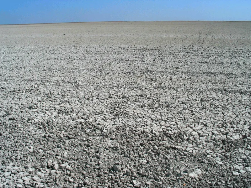 Endosodic Solonchack (Doñana National Park, SW Spain)