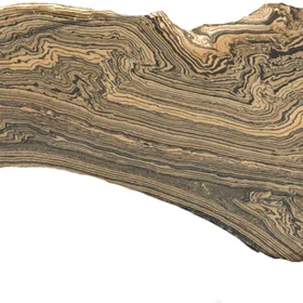 Multiple Detachment Folds