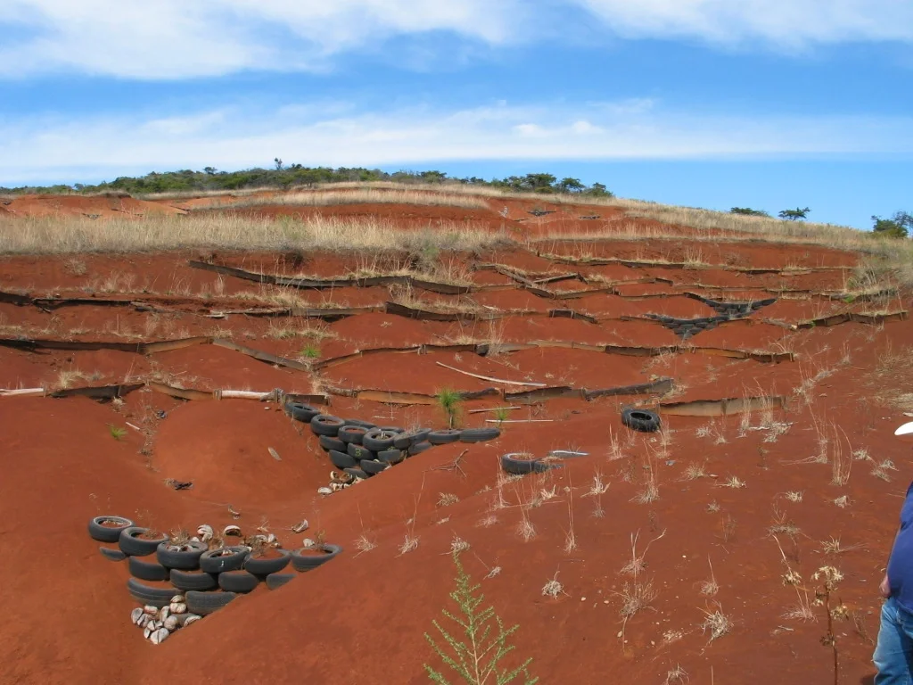 Soil protection in Mexican badlands