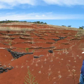 Soil protection in Mexican badlands
