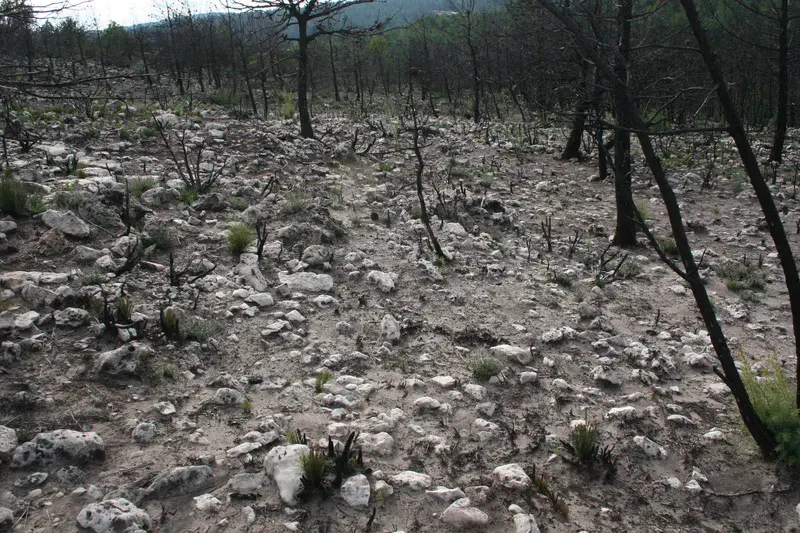 Rock fragments protect soil against erosion