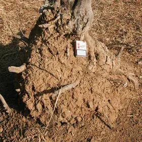 Agricultural erosion