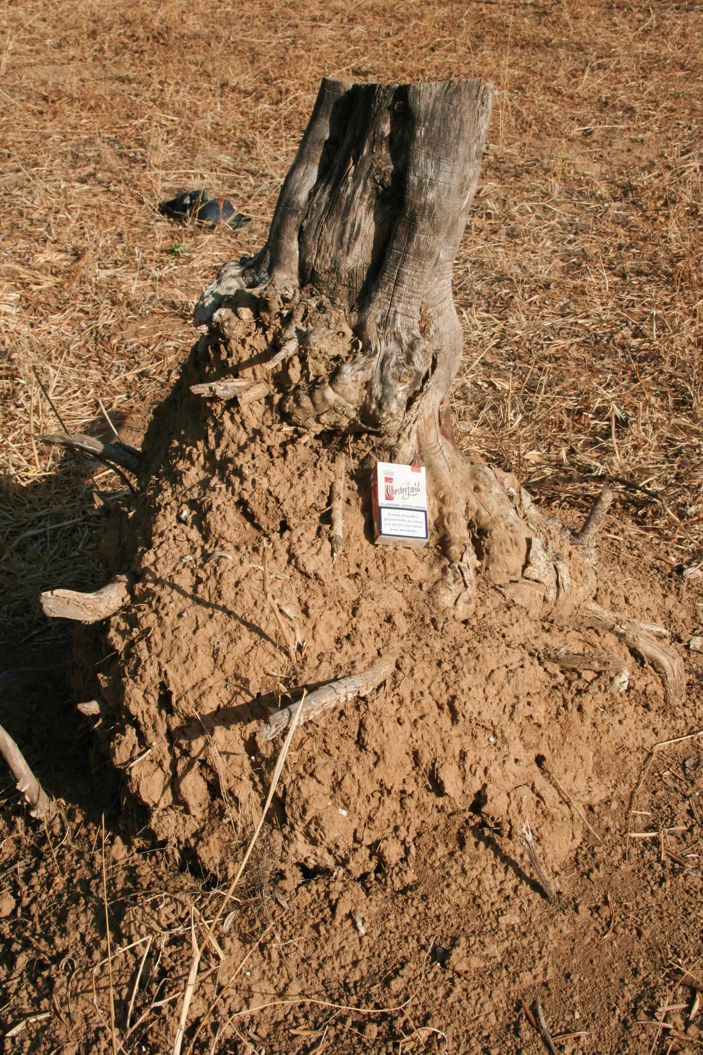 Agricultural erosion