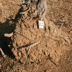 Agricultural erosion