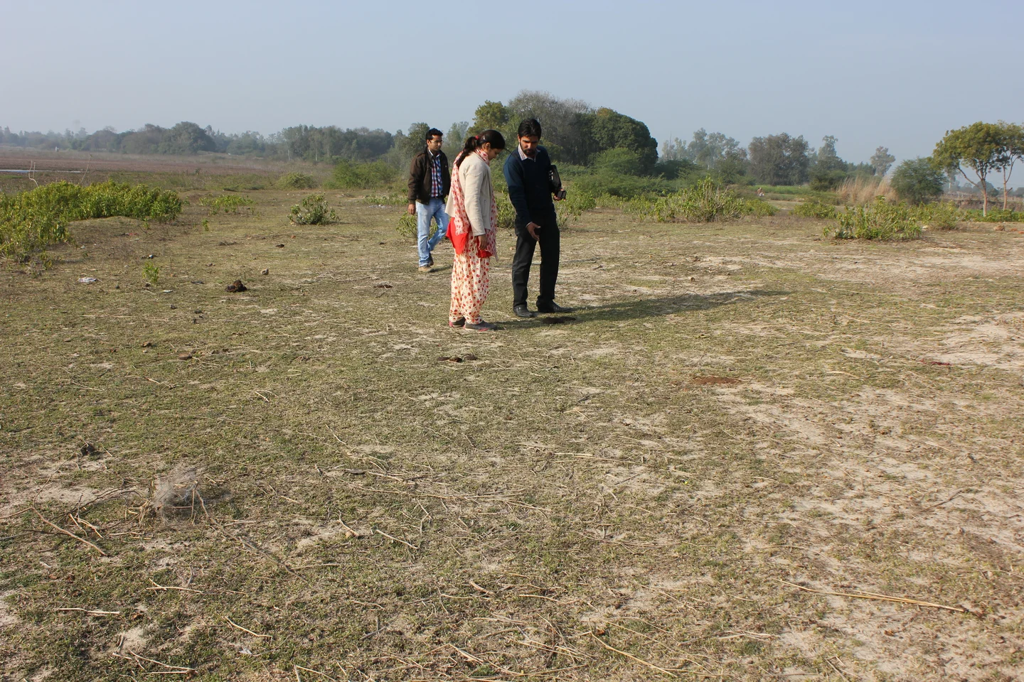 Abandoned land in Lucknow