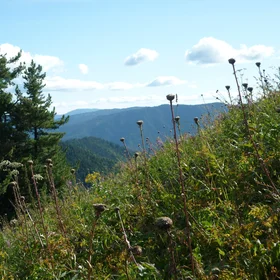 The Altay mountains 