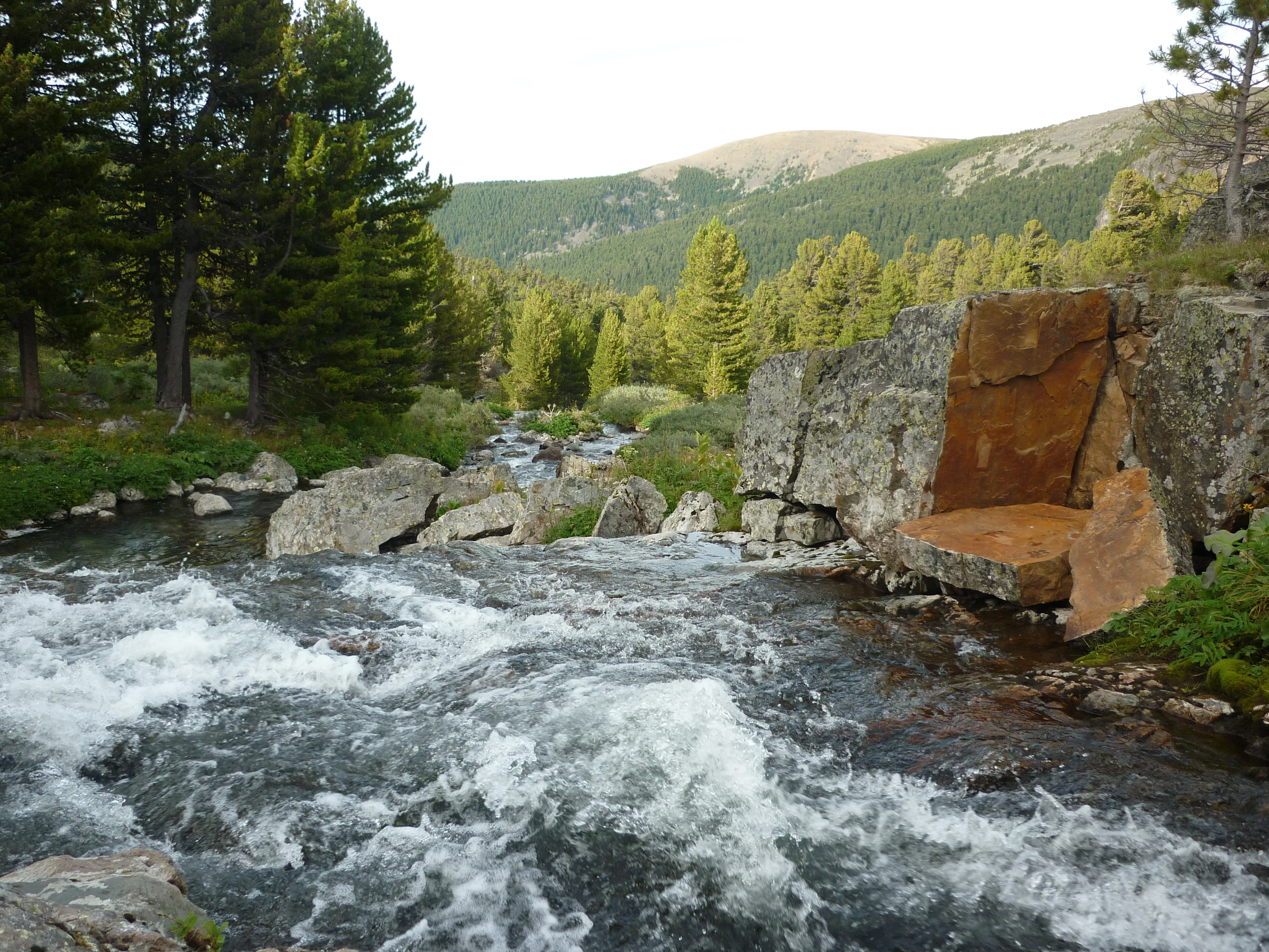The Altay mountains 
