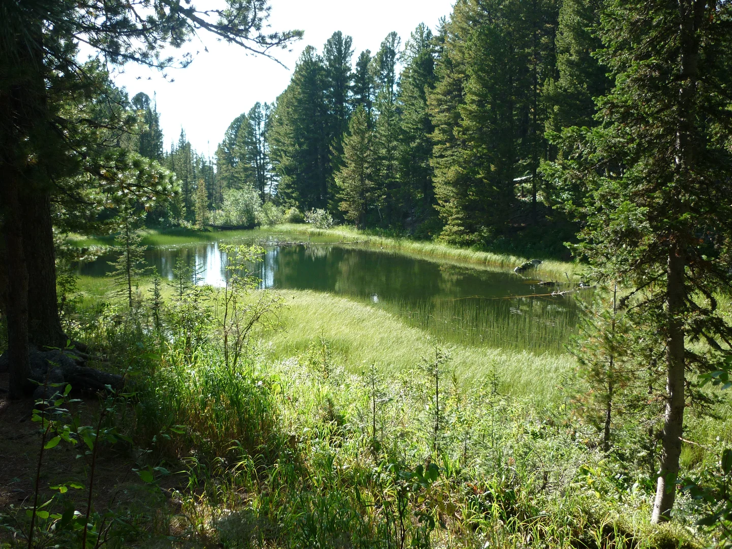 The Altay mountains 