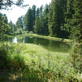 The Altay mountains 