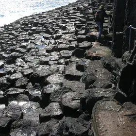 Columnar Basalt Pavement