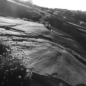 Mud Volcano