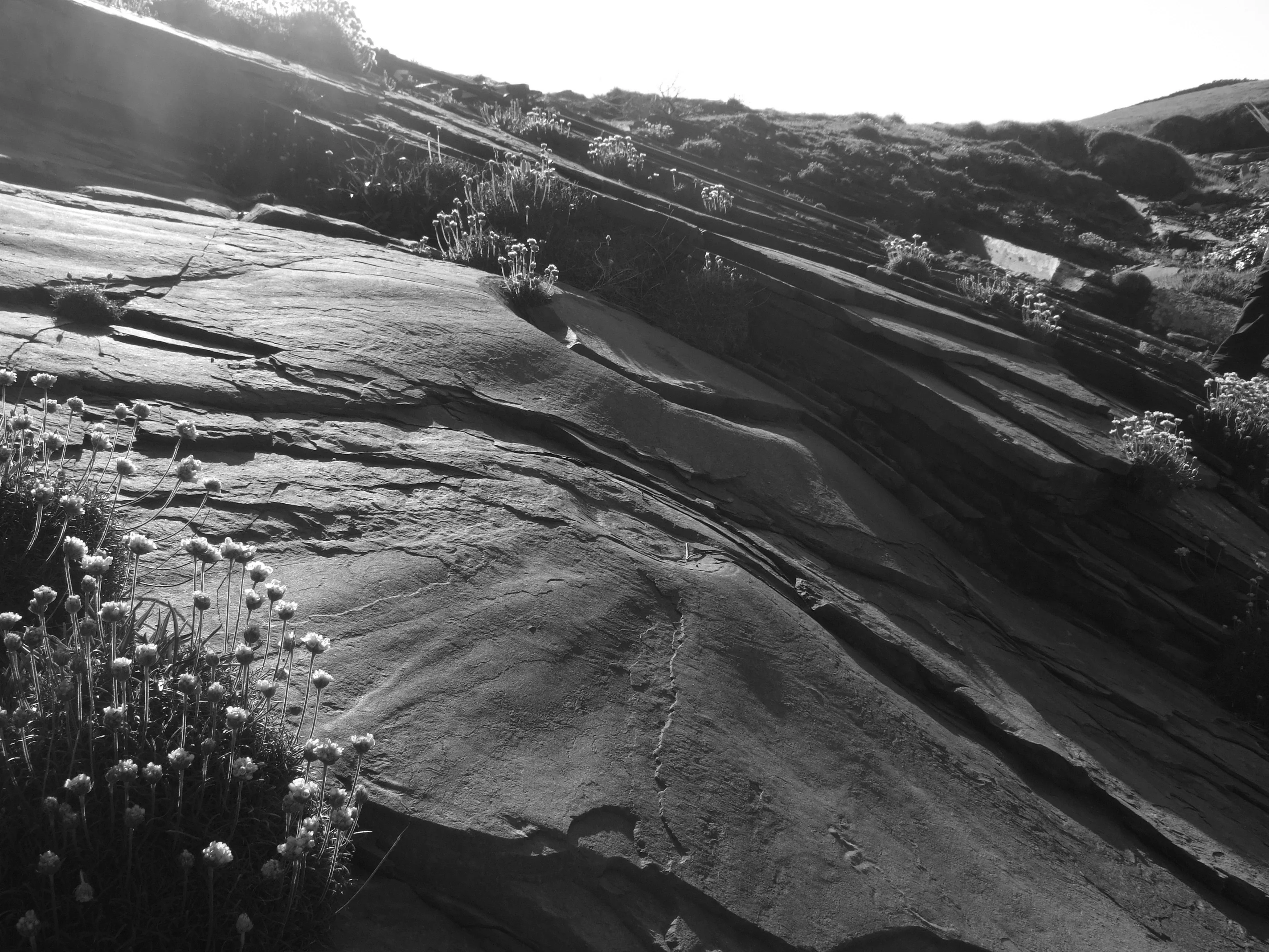 Mud Volcano