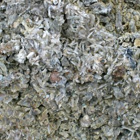 Gypsum concretions in a soil horizon
