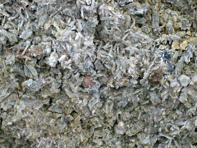 Gypsum concretions in a soil horizon