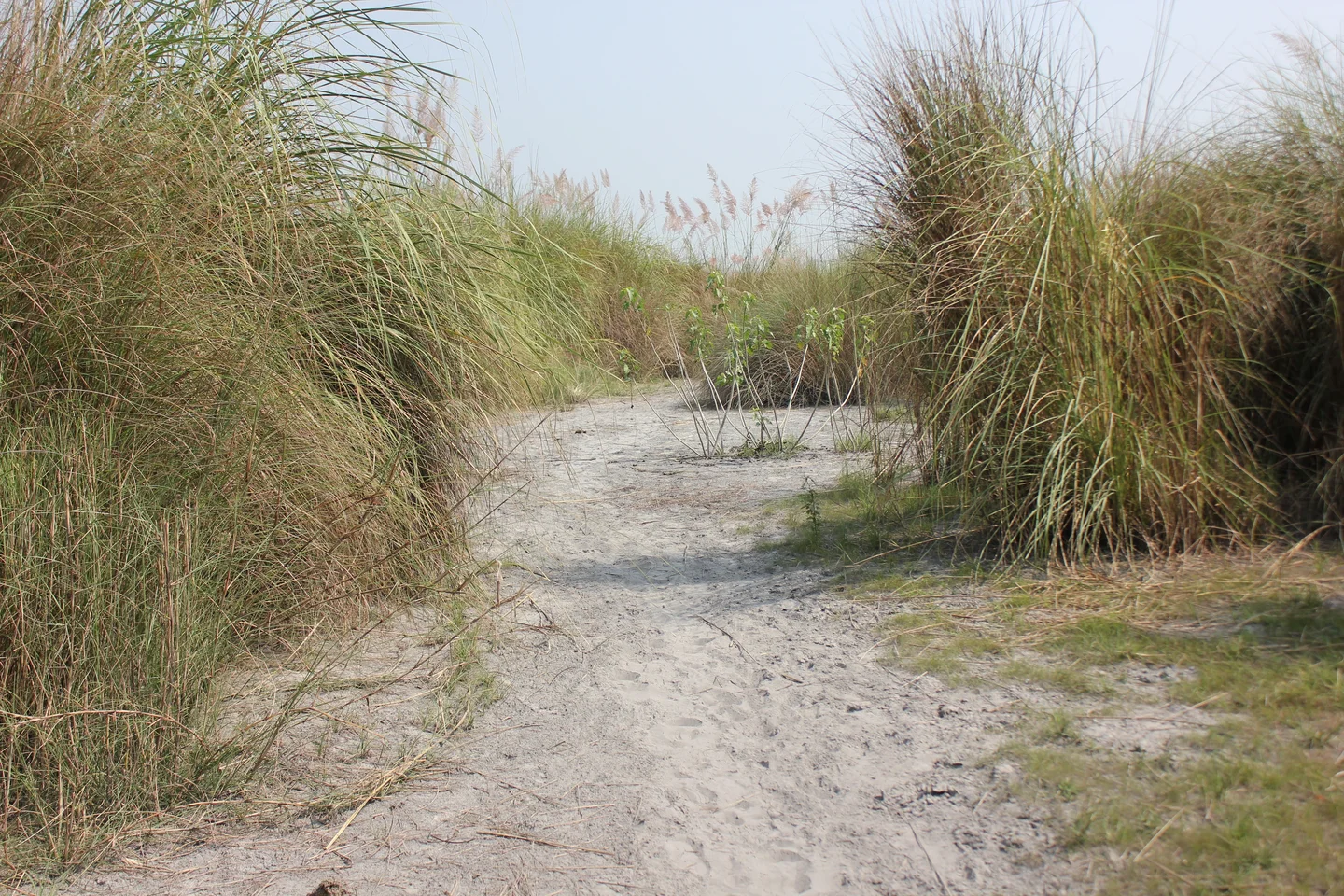 Fly ash dyke or landfill or pond