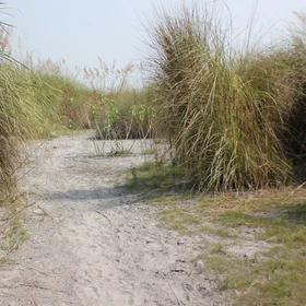 Fly ash dyke or landfill or pond