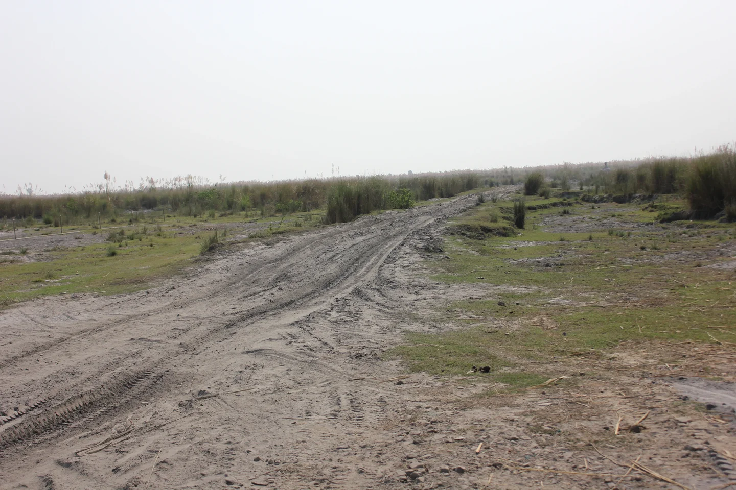 Fly ash pond
