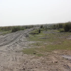 Fly ash pond