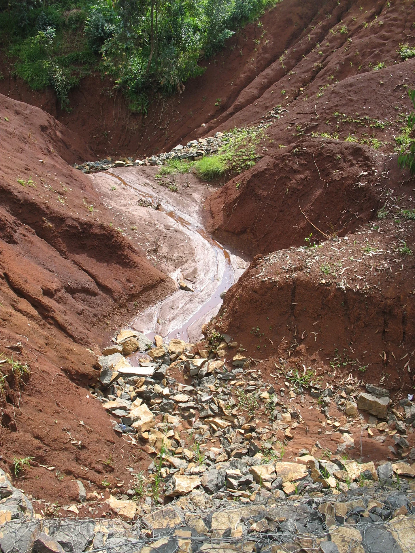 Gully checkdams, Bahir Dahr, Ethiopia
