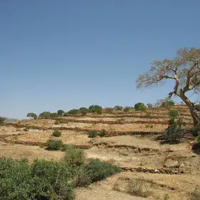 Landscape of northern Tigray, Ethiopia