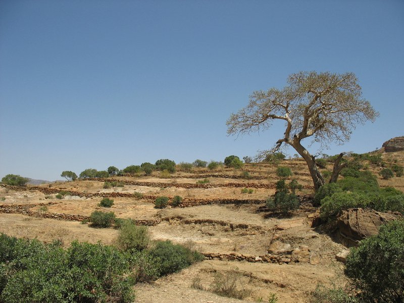 Landscape of northern Tigray, Ethiopia