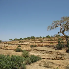 Landscape of northern Tigray, Ethiopia