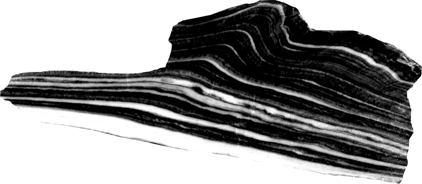 Progressive Detachment Fold