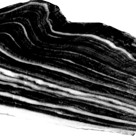 Progressive Detachment Fold