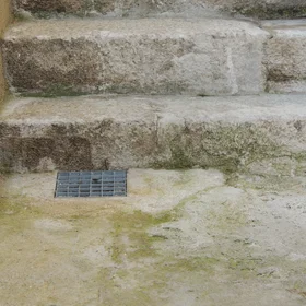 Green algae on cement 