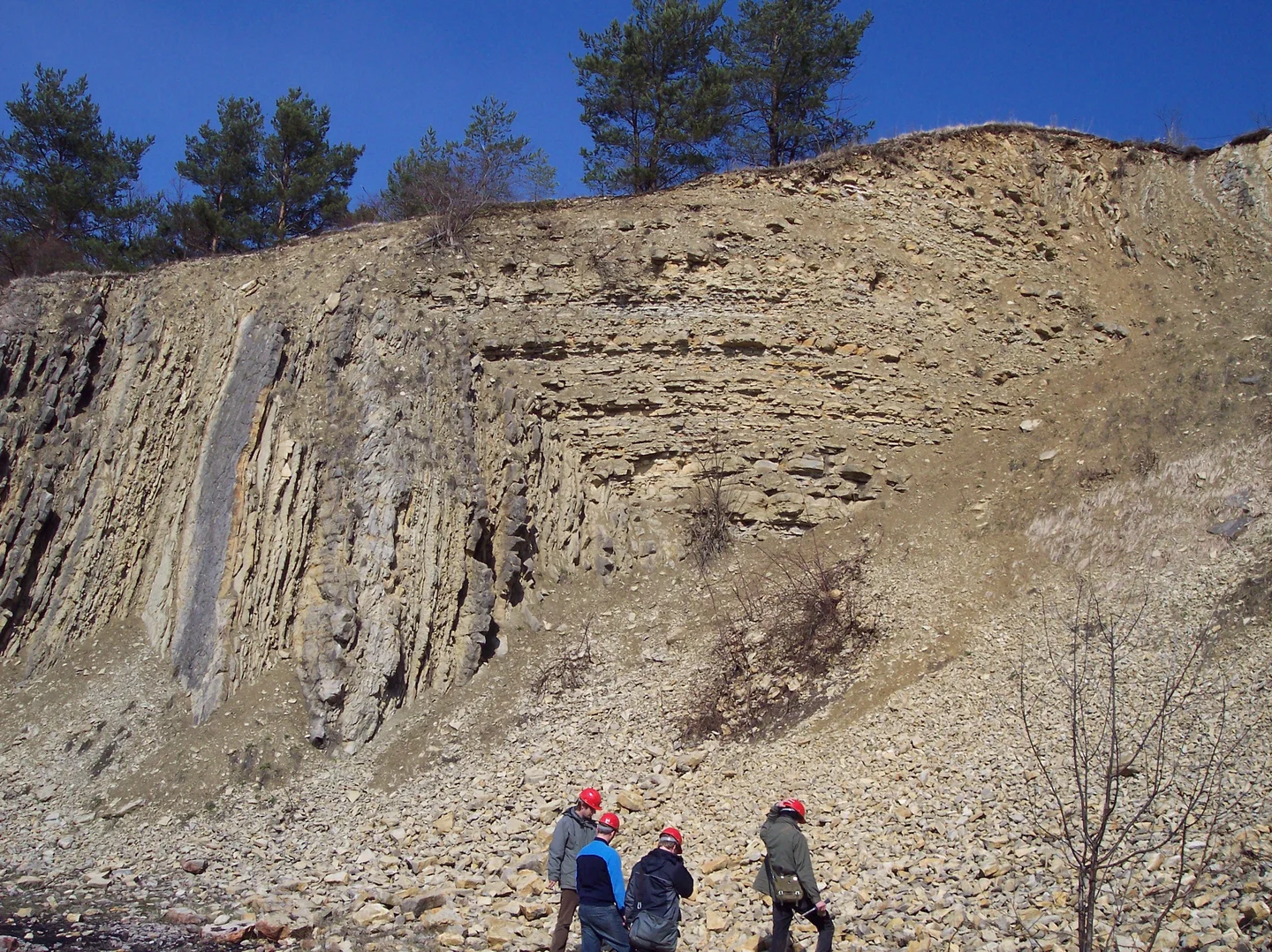 Verging Anticline
