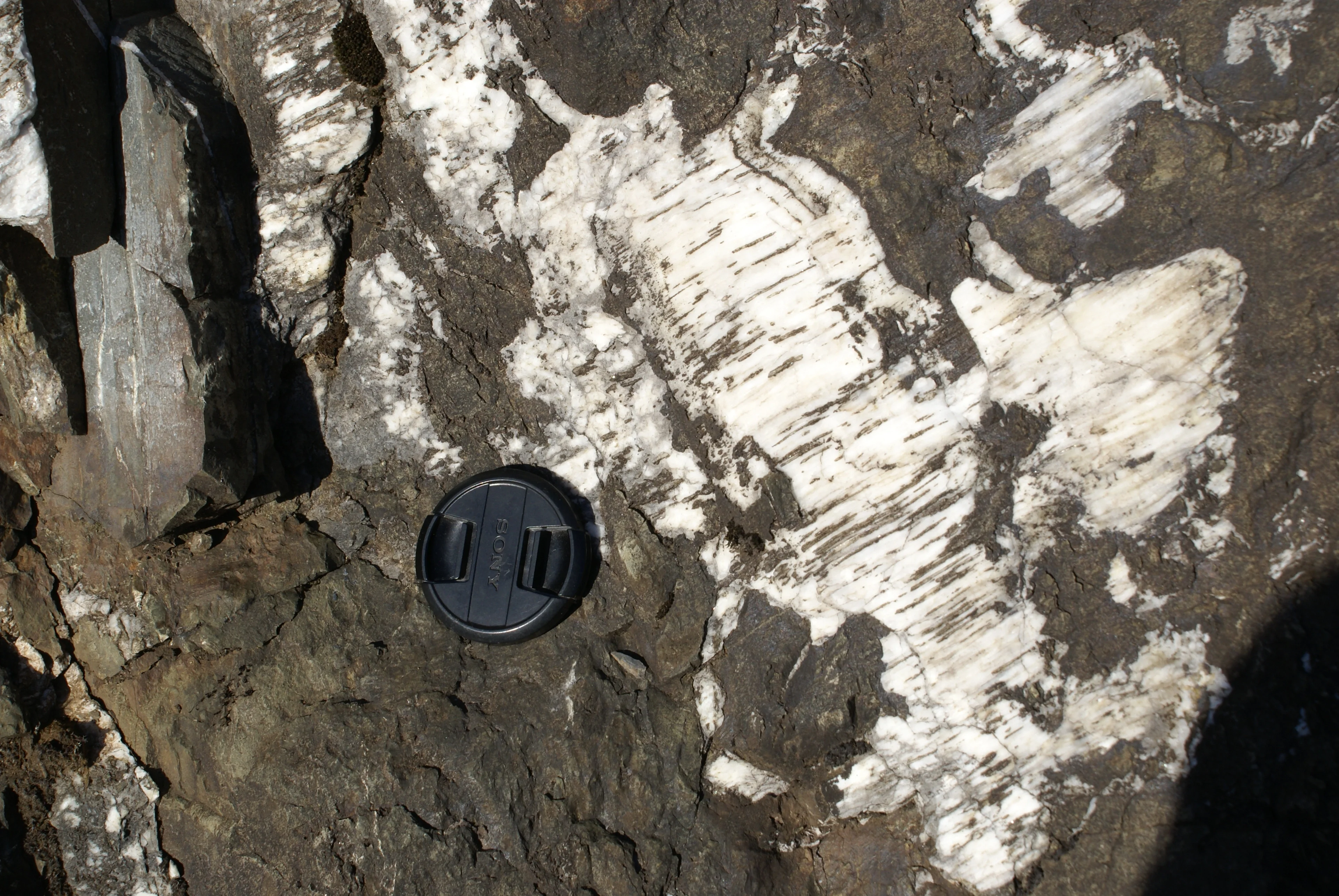Quartz Slickenside