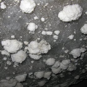 Salt Flowers