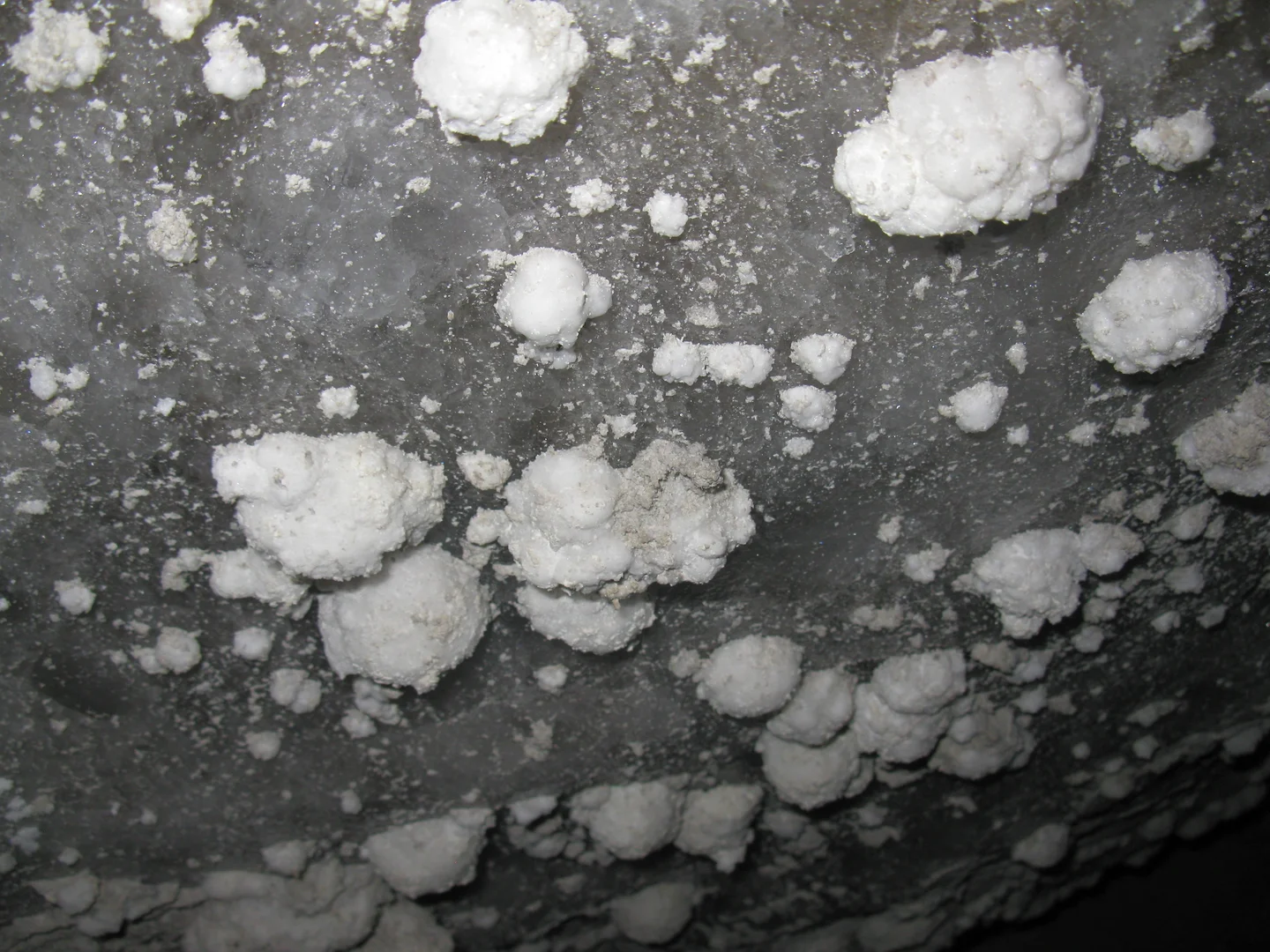 Salt Flowers